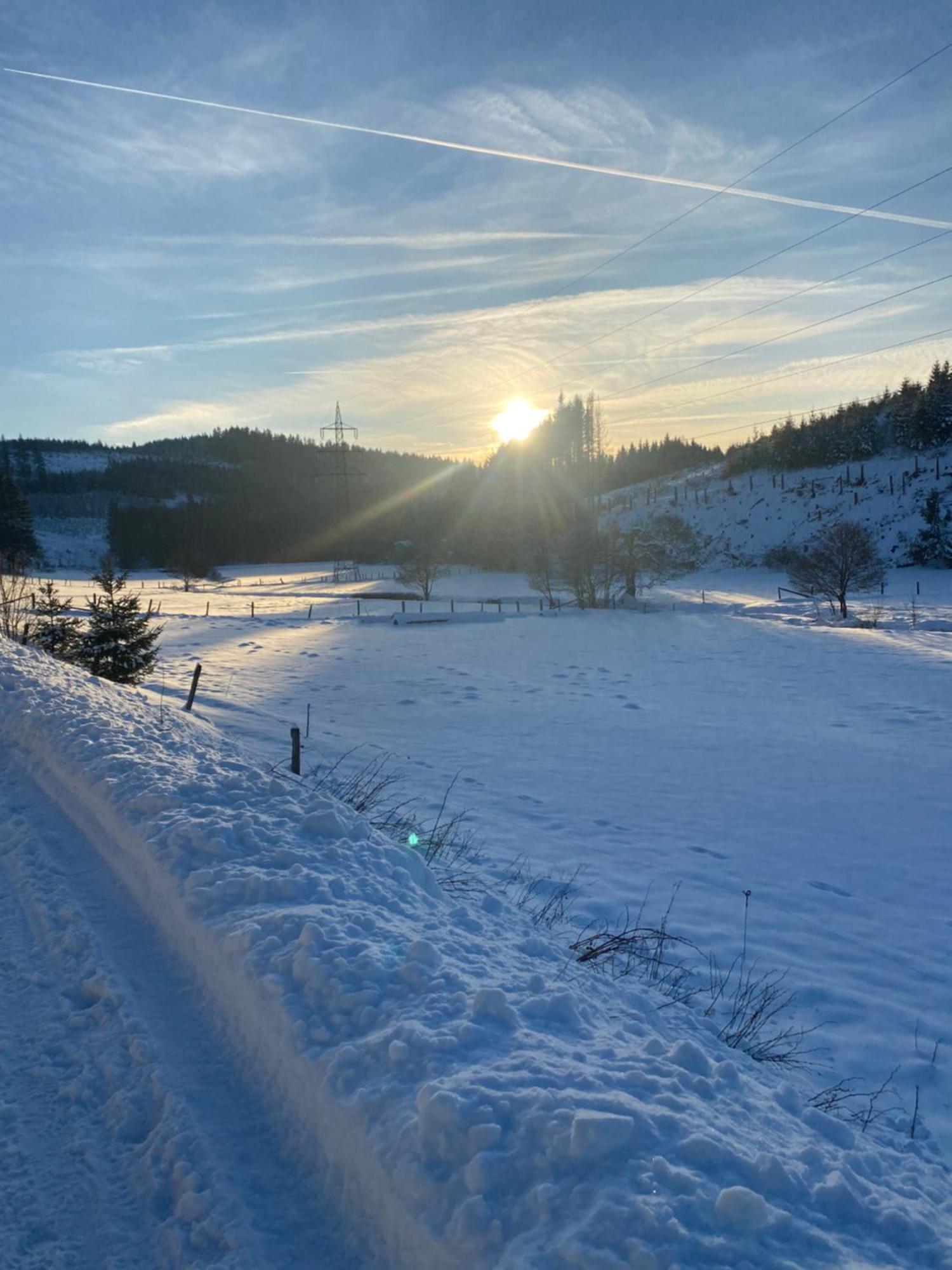 Das Waldhaus Bad Berleburg Zewnętrze zdjęcie